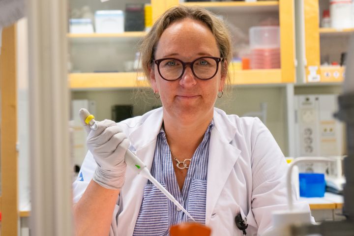 Malin Sund, ordförande Cancerfondens forskningsnämnd.