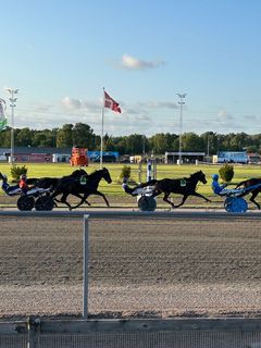 För att nå fler män med viktig hälsoinformation närvarar Cancerfonden vid ett antal olika travbanor under sommaren 2025.