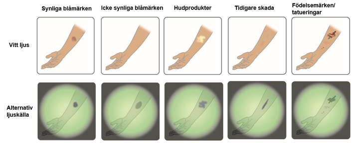 Teoretisk visualisering av olika hypoteser som kan leda till en bristande specificitet