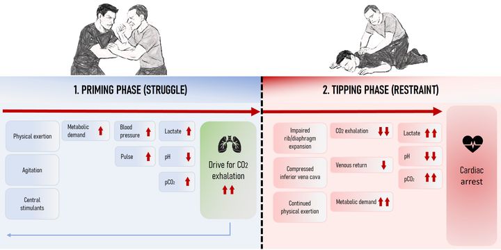 Illustration av två faser vid fysisk ansträngning som kan leda till hjärtstillestånd, med hänvisningar till fysiologiska förändringar.
