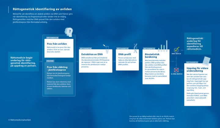Alt-text: Grafisk illustration av processen för rättsgenetisk identifiering av avlidna, med steg från provtagning till biostatistisk beräkning och vidare undersökning.