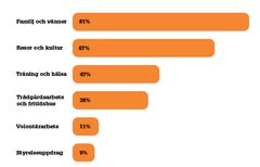 Vad vill cheferna ägna sig åt efter pension (flerval var möjligt)