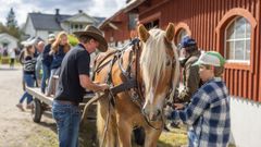 En pojke håller en häst som selas på för att köra en vagn