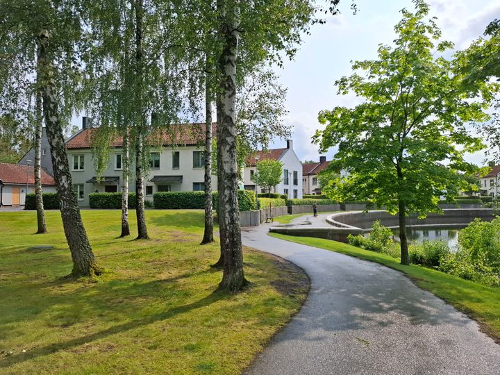 En slingrande gångväg kantad av träd leder förbi vita hus med röda tak på en solig dag.