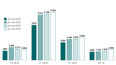 2025 Antal personer som sökt skuldsanering fördelade per åldersgrupp.