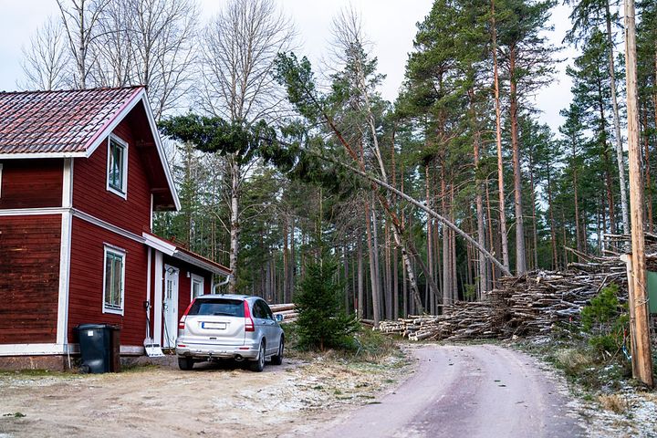 LF har fått in över 6 300 skadeanmälningar från stormen Dave. (genrebild)