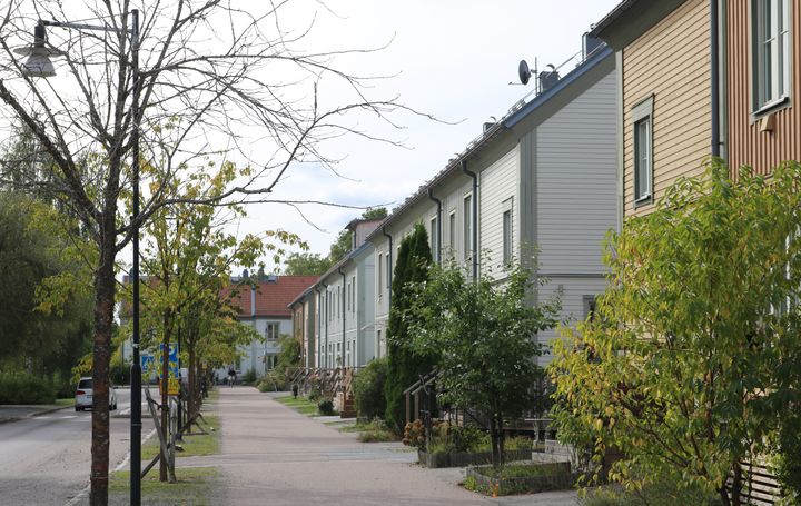 Radhus längs en lugn gata med träd och buskar.