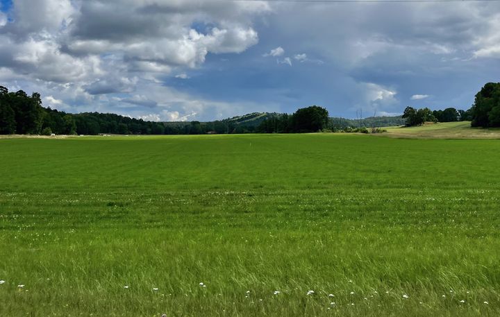 Grönt fält under dramatisk, molnig himmel.