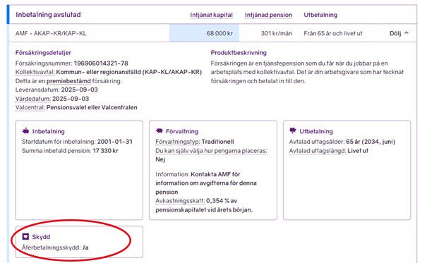 Så ser du om du har återbetalningsskydd