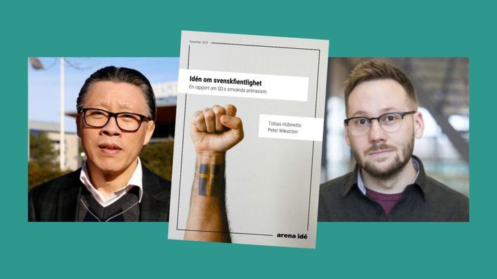 Forskarna Tobias Hübinette och Peter Wikström, samt rapporten Idén om svenskfientlighet – om SD:s omvända antirasism.