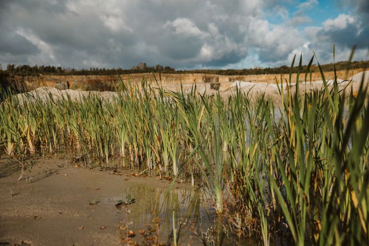 Den 2 september bjuder Sveriges Bergmaterialindustri, SBMI, in till lanseringen av Bergmaterialindustrins färdplan för biologisk mångfald.