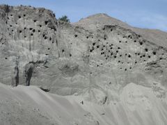 Branta bergväggar i täkter erbjuder häckningsplatser för olika sorters fåglar – viktiga livsmiljöer som ofta saknas i det moderna landskapet.