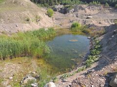 Tillskapade småvatten i täkter gynnar groddjur och insektsliv – en del av de åtgärder som SBMI:s färdplan lyfter fram för att stärka biologisk mångfald.