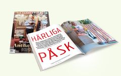 Ettviktigt vårtecken i Skåne är påskens konstrundor. Liksom tidigare år har Magasinet Skåne besökt fem debutanter på de fem stora rundorna.