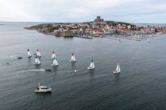 Seglingens Mästare i Marstrand 2023. Foto: Daniel Stenholm