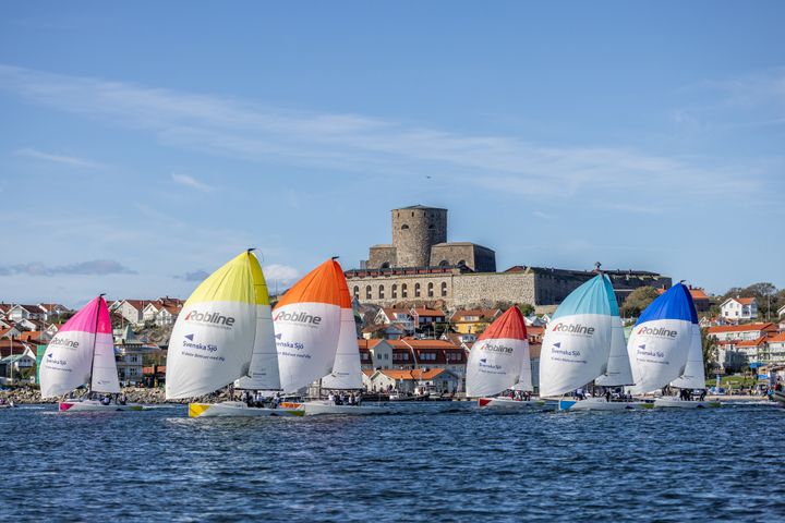 Seglingens Mästare i Marstrand 2023. Foto: Daniel Stenholm