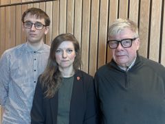 Jonas Blomster (MP), Louise Jeppsson (V), Per Tenggren (S)
