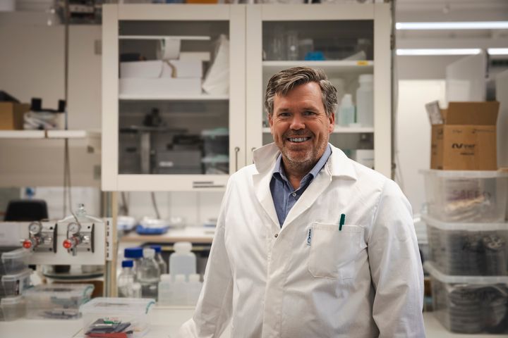 Daniel Söderberg, KTH