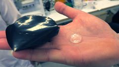 The hydrogel muscle (left) and a piece of hydrogel before being combined with carbon nanotubes.