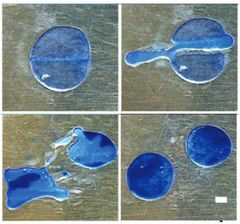 Clockwise from top left, a blog of paraffin is transformed without direct contact. The change from one round shape to two is captured in four of its stages of self-transformation.