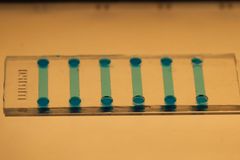 A close-up look at the microfluidic chip used for inducing stem cells.