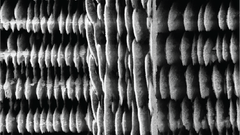 A close up of 3D-printed Si-rich glass micro-supercapacitors (MSCs) on silicon substrates. Magnified by 4720 times.