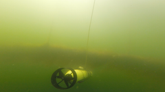 An underwater drone navigates a seaweed bed on Sweden's west coast. (Photo: Ivan Stenius)