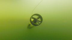 An underwater drone navigates a seaweed bed on Sweden's west coast. (Photo: Ivan Stenius)