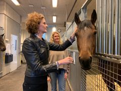 Working with Elin Hernlund from SLU (center), Hedvig Kjellström created a 3D motion model that "gives animals a digital voice" to communicate with veterinarians.