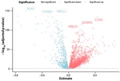 The volcano plot highlights the impact of age on the plasma proteome, showing many proteins with significant age-related changes. Each dot represents a protein, with red indicating proteins that increase and blue indicating proteins that decrease from childhood to adulthood.