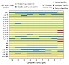 Overview of the oestrogenic activity of all synthesized bisphenols, integrating data from both the MCF-7 proliferation assay and the VM7Luc4E2 gene-reporter assay.