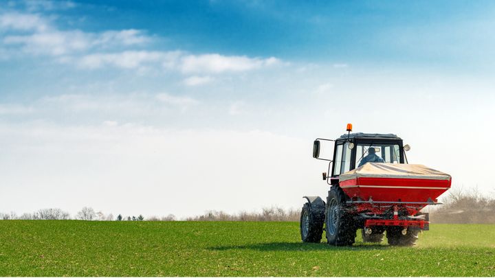 An essential ingredient of agricultural fertilizer, phosphorus could be sourced from the Baltic Sea, where it is found in excessive concentrations. (Photo: Igor Stevanovic)