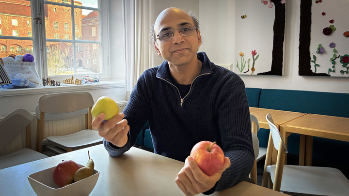 Our dopamine learning system helps us make choices - some as simple as whether to eat a green or a red apple, says Arvind Kumar (pictured). He co-authored a new study showing what happens when this system breaks down, and how misalignment contributes to two symptoms of schizophrenia.