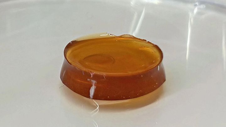 The study marks the first time wheat gluten protein—rather than animal-based protein—has been successfully incorporated into bran-based hydrogels (pictured).