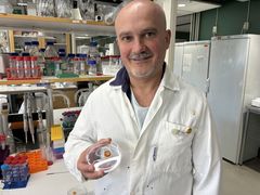 “This could add new value to agricultural side streams that are already produced in huge amounts but not used in human food,” says Francisco Vilaplana, pictured in his lab.