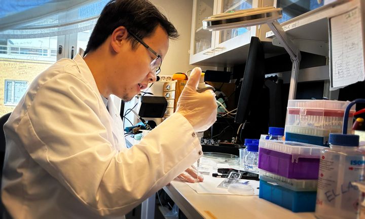 Xinxin Liu prepares a newly-fabricated nanopore membrane for evaluation. The new method simplifies the production of large arrays of nanopores for sensing and analysis technologies used in medical research and, increasingly, in specialized clinics.