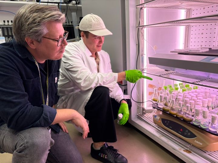 Paul Hudson (left) and the study's co-lead author, PhD student Axel Knave, examine cyanobacterial samples in the lab where they tested 15,000 variants of the enzyme, Rubisco. Their work identified mutations that make growth more efficient.