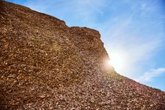 Viktigt biobränsle. Rysslands invasionskrig i Ukraina medförde skenader priser på biobränsle. "Nu har bränslesituationen stabiliserats", säger Henrik Holm, ny affärsområdeschef för Värme.