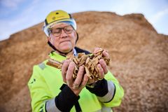 Viktigt biobränsle. Rysslands invasionskrig i Ukraina medförde skenader priser på biobränsle. "Nu har bränslesituationen stabiliserats", säger Henrik Holm, ny affärsområdeschef för Värme.
