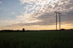 Den 1 juli 2026 återgår Mälarenergi Elnät till den tidigare prismodellen för kunder med 16–63 ampere, utan effektavgift. "Vi har arbetat intensivt för att snabbt kunna ge besked i den situation som uppstått – våra kunder behöver förutsägbarhet och trygghet", säger Ove Fredriksson, Public Affairs på Mälarenergi.