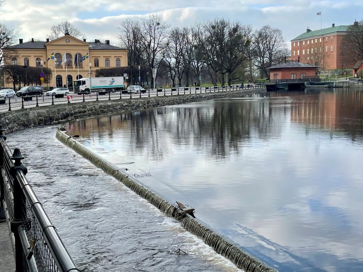 Faunapassagerna i Svartån i Västerås har utsetts till vinnare av Trafikverkets arkitekturpris 2025. Projektet lyfts fram för hur det både hjälper fisken tillbaka till ån och skapar en mer levande och inbjudande miljö mitt i staden.