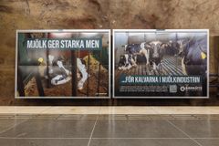 En av Djurrättsalliansens annonser i Stockholms tunnelbana som syns under vecka 49.