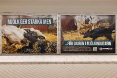 En av Djurrättsalliansens annonser i Stockholms tunnelbana som syns under vecka 49.