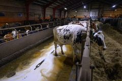 Bild inifrån Arlagården på Öland.