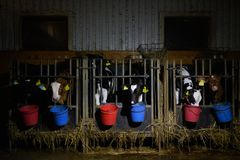 Bild inifrån Arlagården på Öland.