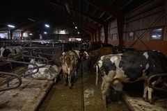 Bild inifrån Arlagården på Öland.