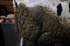 Bild inifrån Arlagården på Öland.