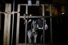 Bild inifrån Arlagården på Öland.