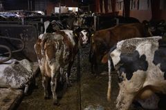 Bild inifrån Arlagården på Öland.