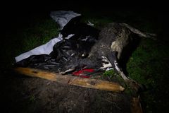 Bild inifrån Arlagården på Öland.